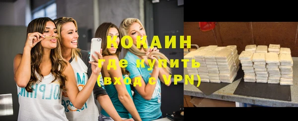 шишки Заволжск