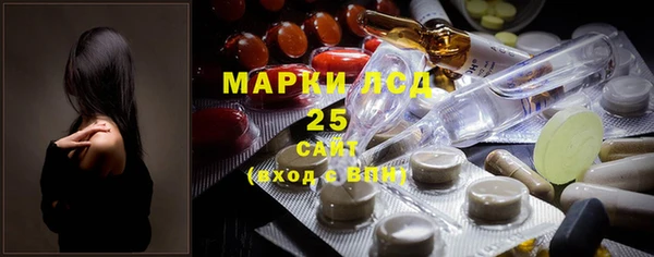 мдпв Дмитриев