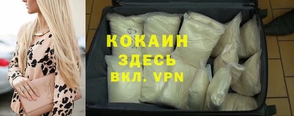 шишки Заволжск