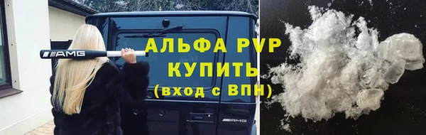 шишки Дмитровск