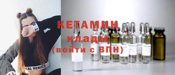 шишки Дмитровск