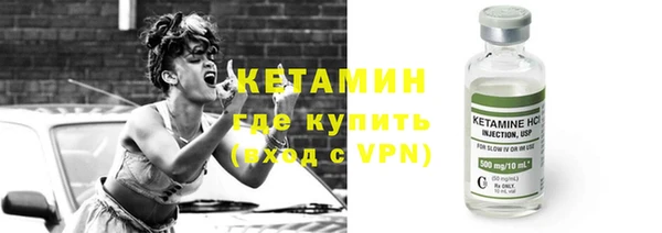 шишки Дмитровск