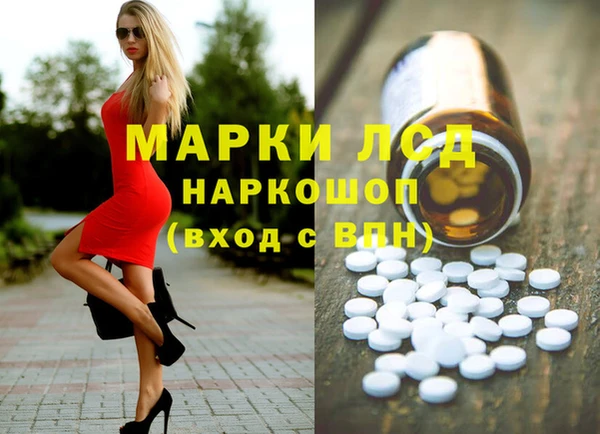 шишки Заволжск
