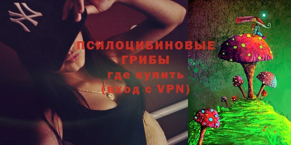 мдпв Дмитриев