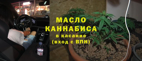 шишки Заволжск
