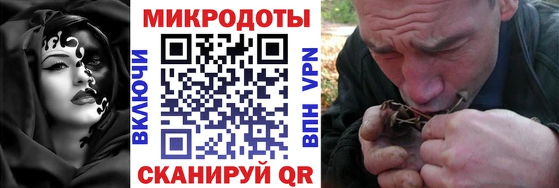 Купить закладки  Губкин  Галлюциногенные грибы GOLDEN TEACHER 